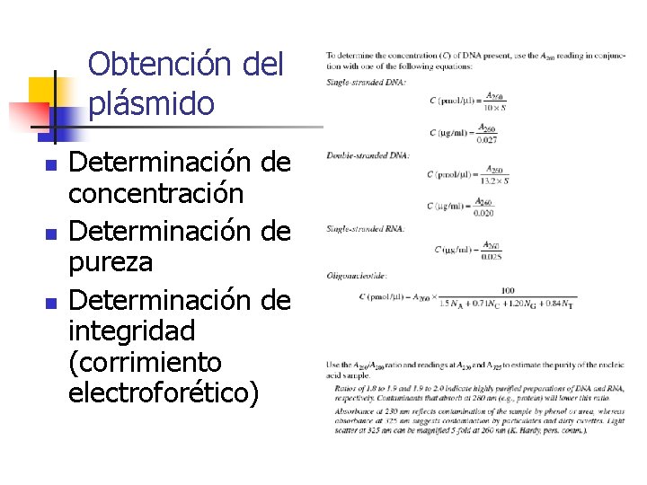 Obtención del plásmido n n n Determinación de concentración Determinación de pureza Determinación de