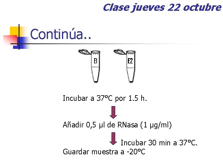 Clase jueves 22 octubre Continúa. . Incubar a 37°C por 1. 5 h. Añadir