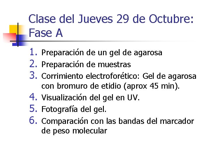 Clase del Jueves 29 de Octubre: Fase A 1. Preparación de un gel de