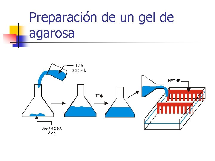 Preparación de un gel de agarosa 