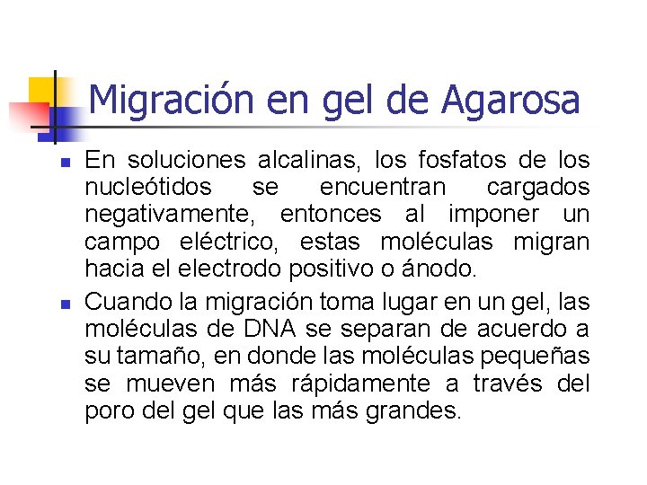 Migración en gel de Agarosa n n En soluciones alcalinas, los fosfatos de los