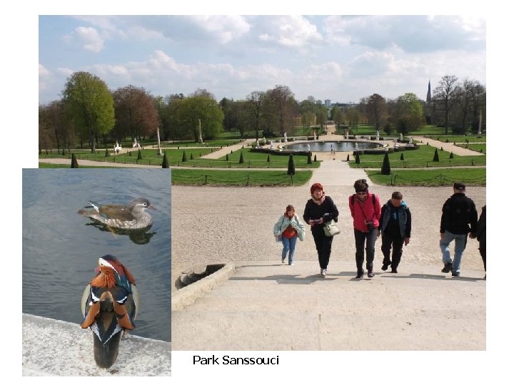 Park Sanssouci 