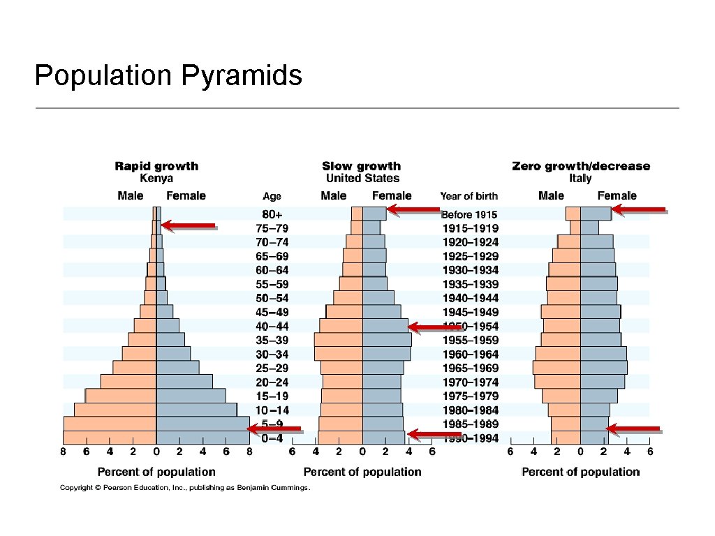 Population Pyramids 