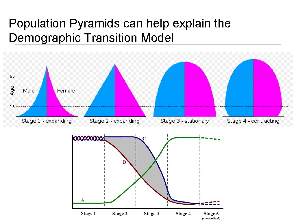 Population Pyramids can help explain the Demographic Transition Model 