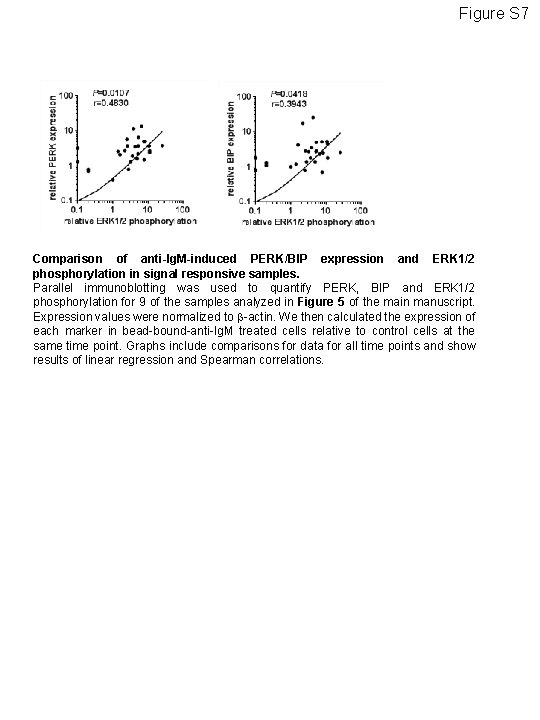 Figure S 7 Comparison of anti-Ig. M-induced PERK/BIP expression and ERK 1/2 phosphorylation in