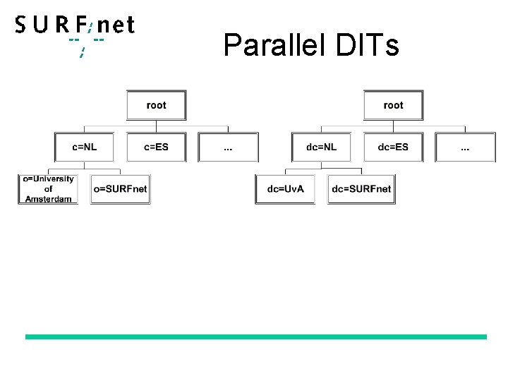 Parallel DITs 