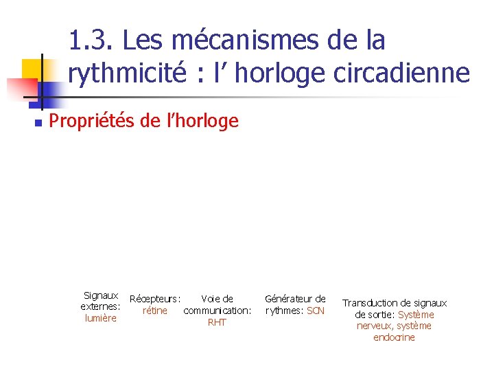 1. 3. Les mécanismes de la rythmicité : l’ horloge circadienne n Propriétés de