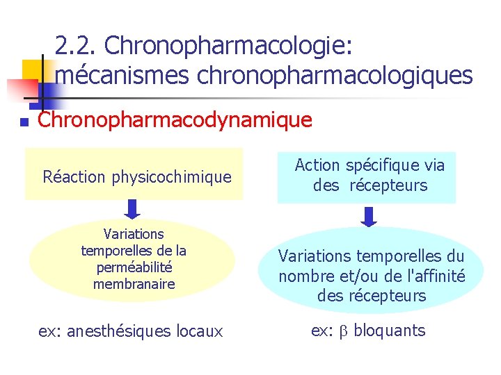 2. 2. Chronopharmacologie: mécanismes chronopharmacologiques n Chronopharmacodynamique Réaction physicochimique Variations temporelles de la perméabilité