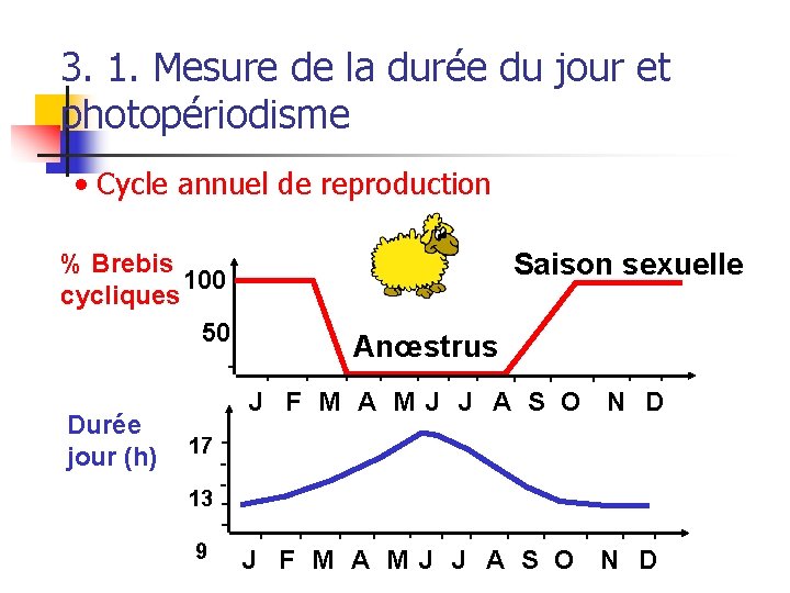 3. 1. Mesure de la durée du jour et photopériodisme • Cycle annuel de