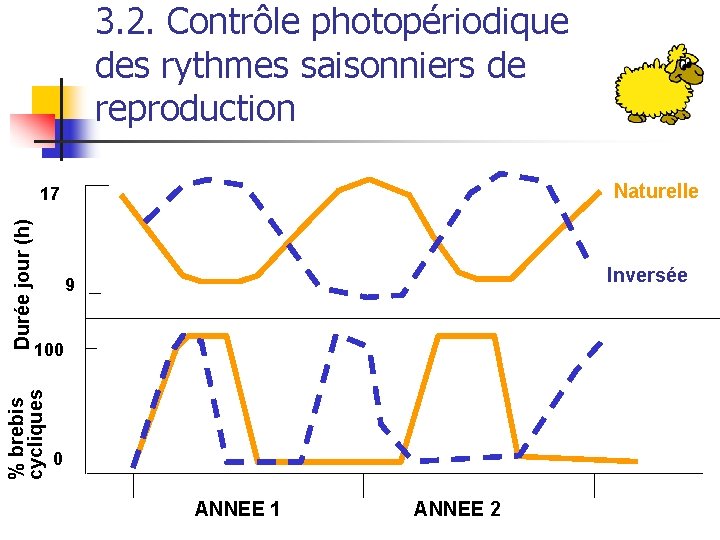 3. 2. Contrôle photopériodique des rythmes saisonniers de reproduction Naturelle Inversée 9 100 %