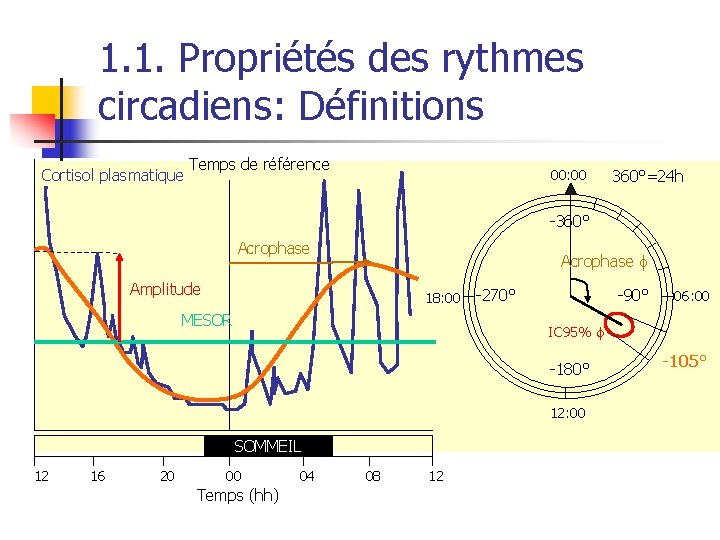 1. 1. Propriétés des rythmes circadiens: Définitions Temps de référence Cortisol plasmatique 00: 00