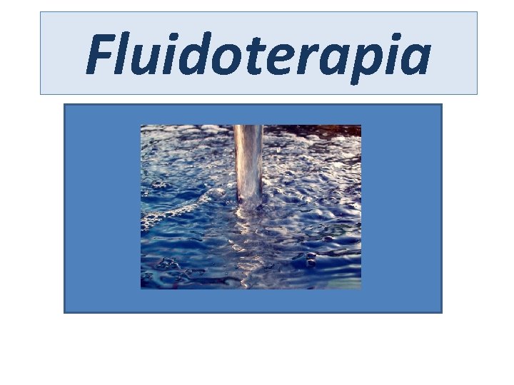 Fluidoterapia 