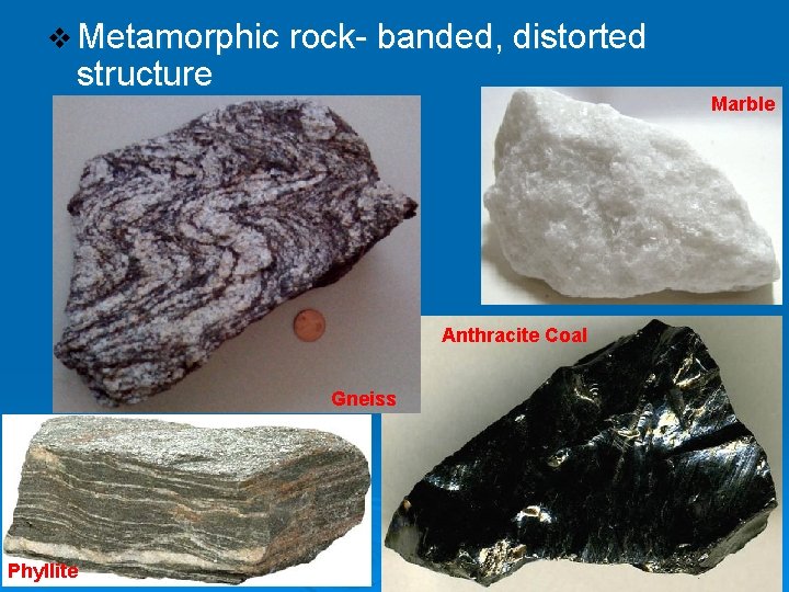 v Metamorphic rock- banded, distorted structure Marble Anthracite Coal Gneiss Phyllite 