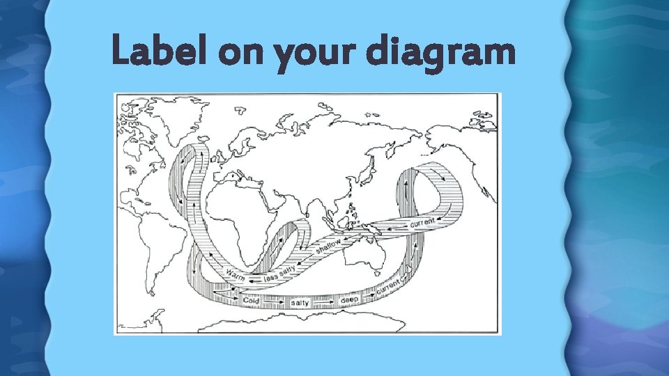 Label on your diagram 