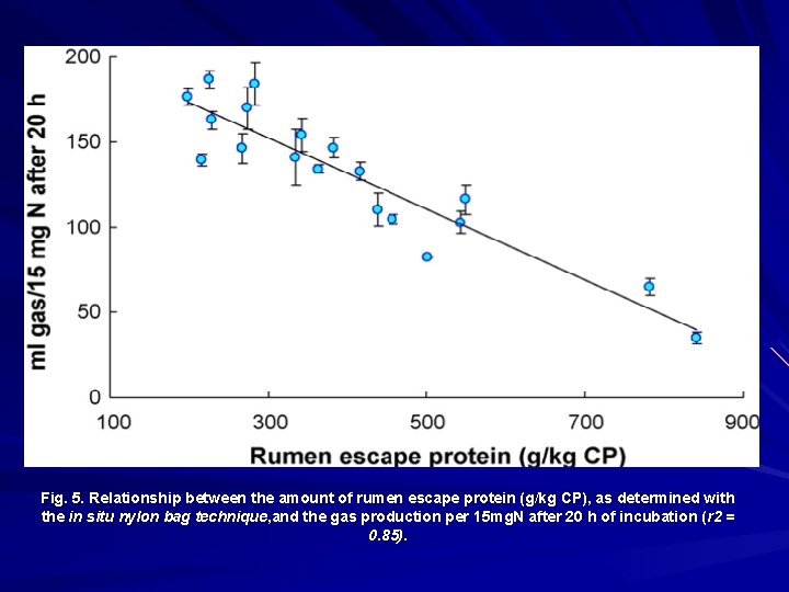 Fig. 5. Relationship between the amount of rumen escape protein (g/kg CP), as determined