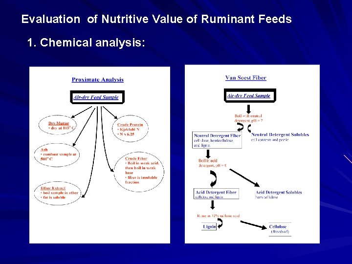 Evaluation of Nutritive Value of Ruminant Feeds 1. Chemical analysis: 