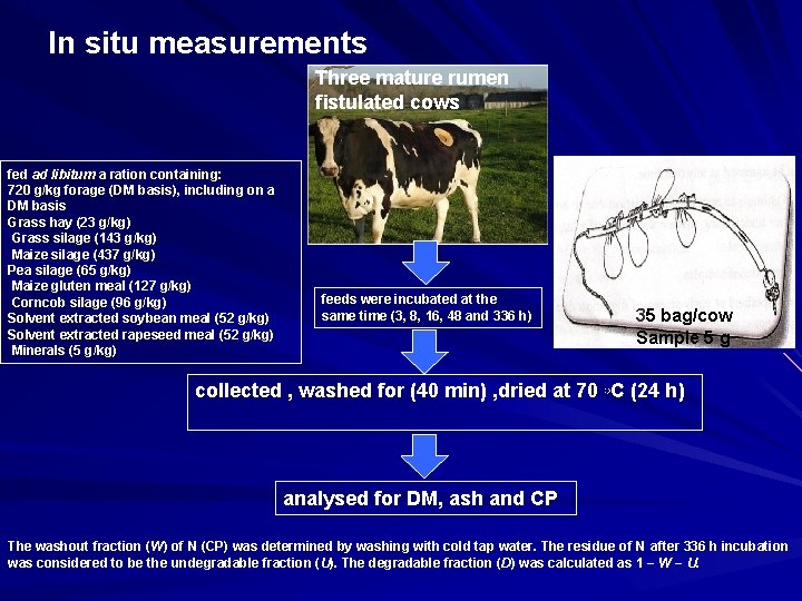 In situ measurements Three mature rumen ﬁstulated cows fed ad libitum a ration containing: