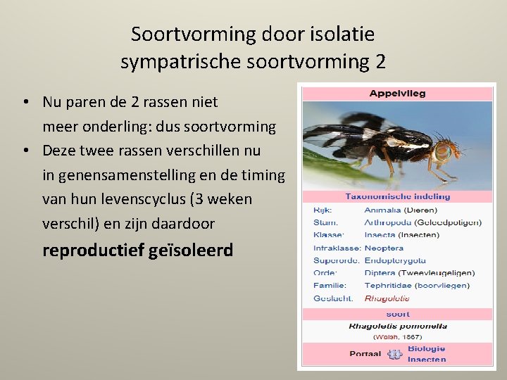 Soortvorming door isolatie sympatrische soortvorming 2 • Nu paren de 2 rassen niet meer