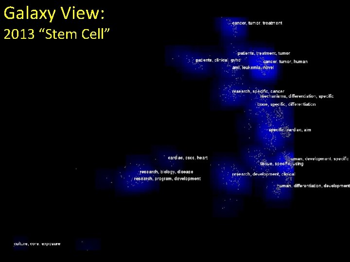 Galaxy View: 2013 “Stem Cell” 
