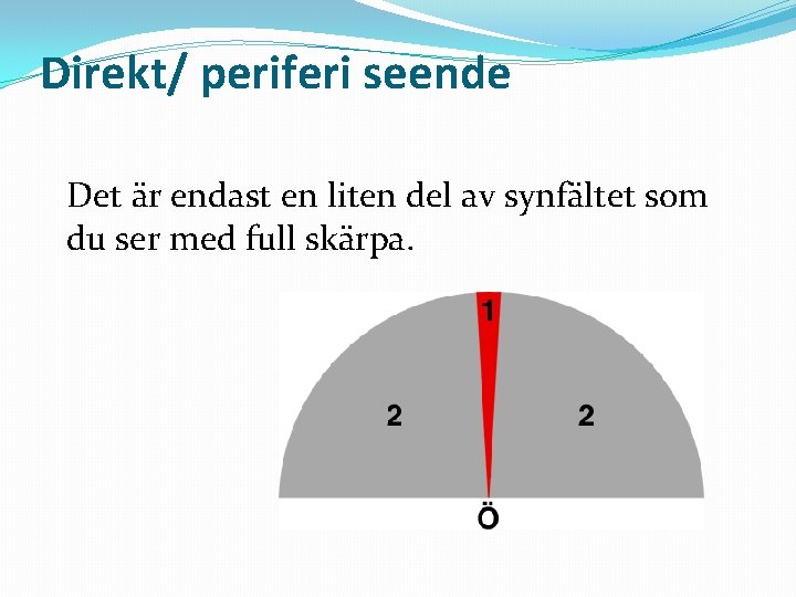 Direkt/ periferi seende Det är endast en liten del av synfältet som du ser