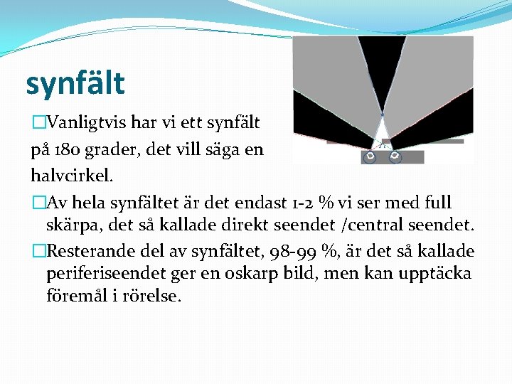 synfält �Vanligtvis har vi ett synfält på 180 grader, det vill säga en halvcirkel.