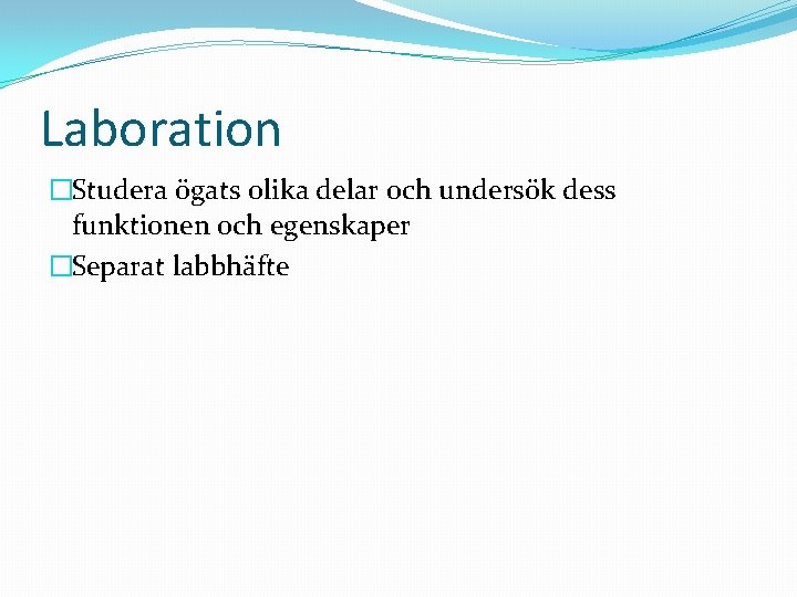 Laboration �Studera ögats olika delar och undersök dess funktionen och egenskaper �Separat labbhäfte 