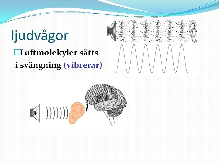 ljudvågor �Luftmolekyler sätts i svängning (vibrerar) 