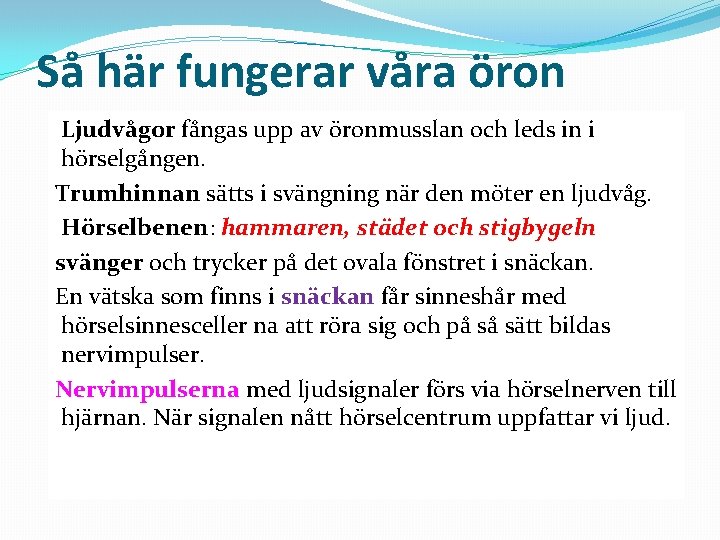 Så här fungerar våra öron Ljudvågor fångas upp av öronmusslan och leds in i