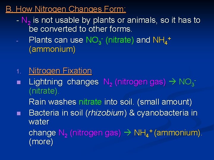 B. How Nitrogen Changes Form: - N 2 is not usable by plants or