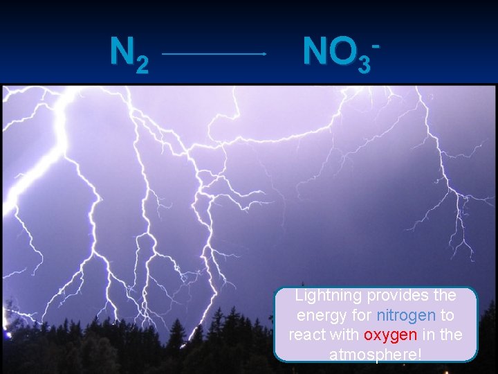 N 2 NO 3 Lightning provides the energy for nitrogen to react with oxygen