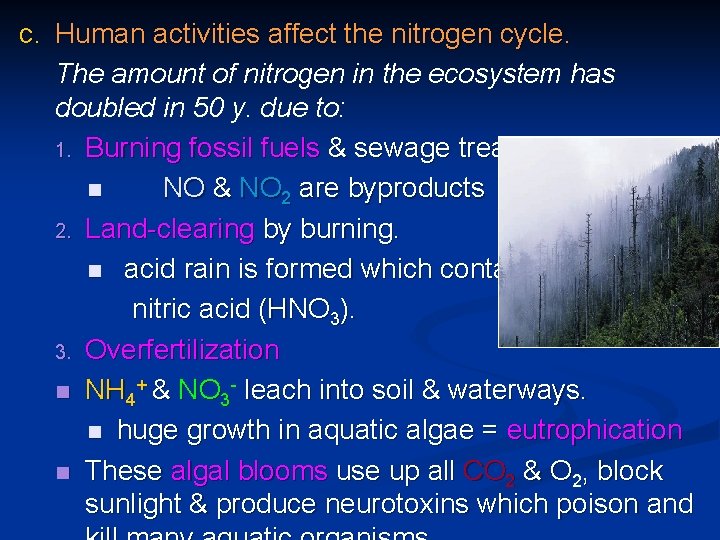 C. Human activities affect the nitrogen cycle. The amount of nitrogen in the ecosystem