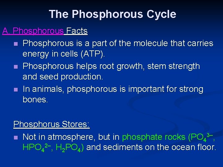 The Phosphorous Cycle A. Phosphorous Facts n Phosphorous is a part of the molecule