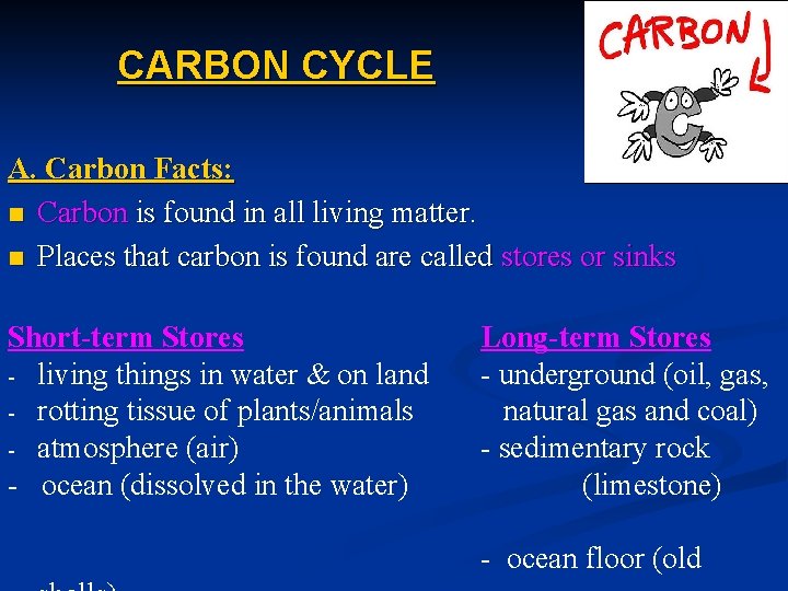 CARBON CYCLE A. Carbon Facts: n Carbon is found in all living matter. n