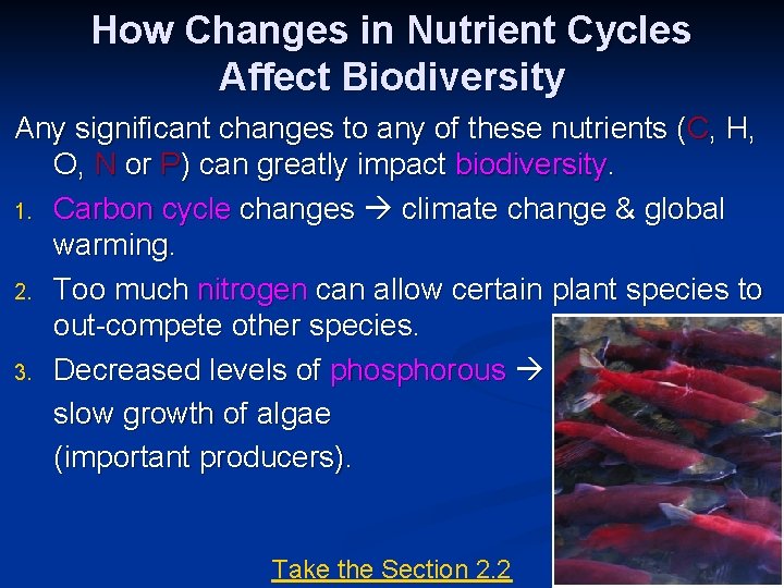 How Changes in Nutrient Cycles Affect Biodiversity Any significant changes to any of these