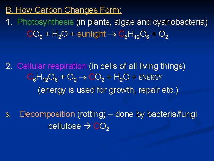 B. How Carbon Changes Form: 1. Photosynthesis (in plants, algae and cyanobacteria) CO 2