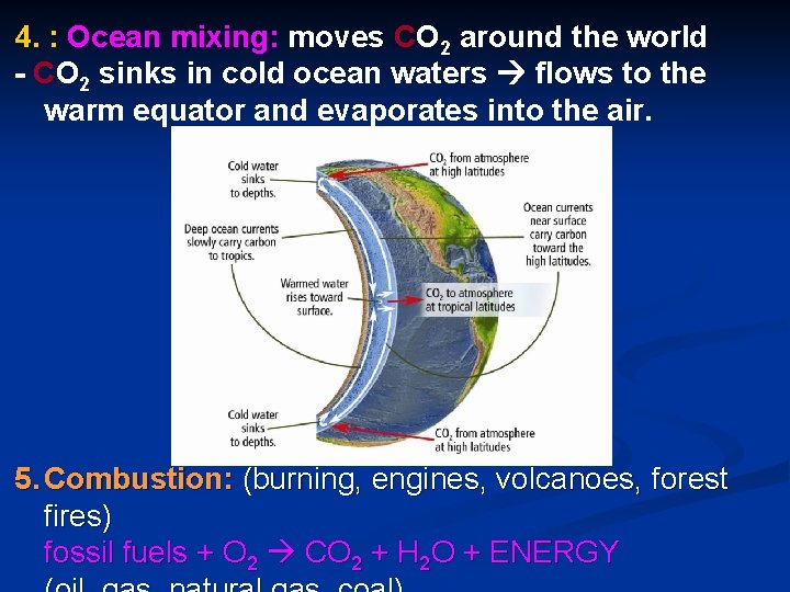 4. : Ocean mixing: moves CO 2 around the world - CO 2 sinks