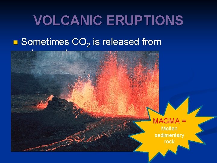 VOLCANIC ERUPTIONS n Sometimes CO 2 is released from volcanoes! MAGMA = Molten sedimentary