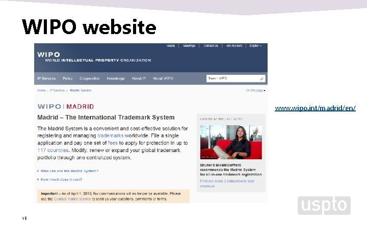 WIPO website www. wipo. int/madrid/en/ 15 WIPO website www. wipo. int/madrid/en/ 15