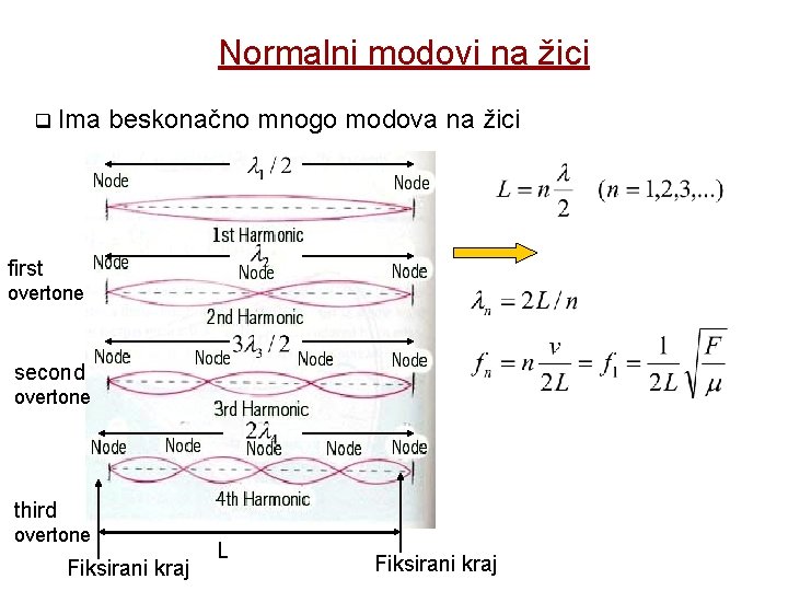 Normalni modovi na žici q Ima beskonačno mnogo modova na žici first overtone second