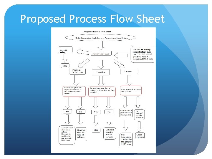 Proposed Process Flow Sheet 