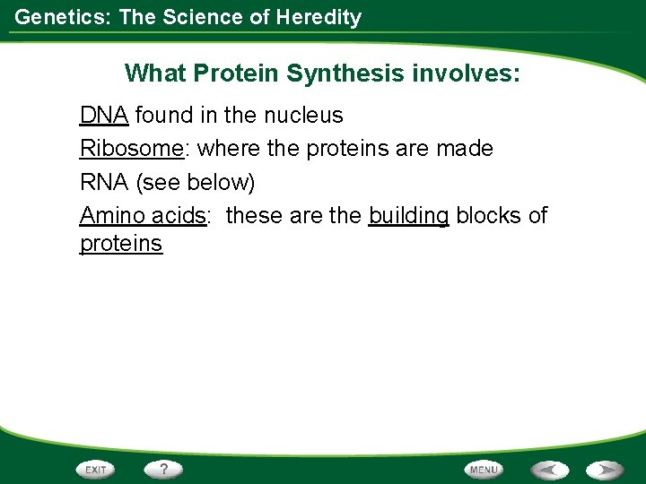 Genetics: The Science of Heredity What Protein Synthesis involves: DNA found in the nucleus