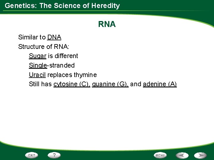 Genetics: The Science of Heredity RNA Similar to DNA Structure of RNA: Sugar is