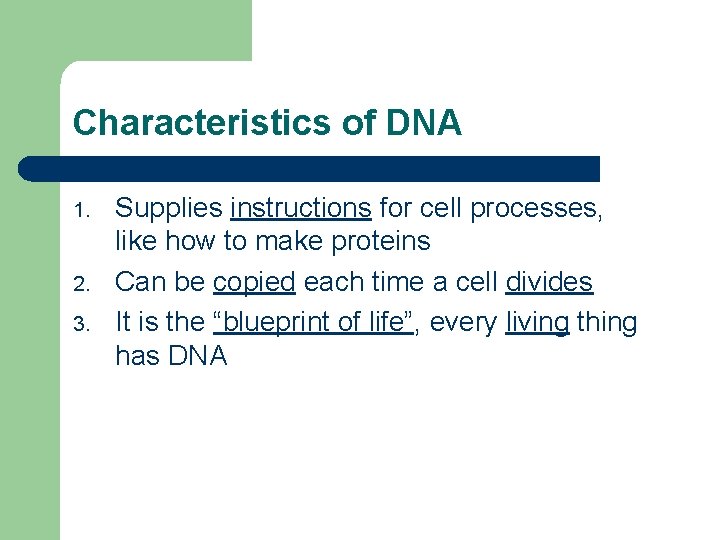 Characteristics of DNA 1. 2. 3. Supplies instructions for cell processes, like how to