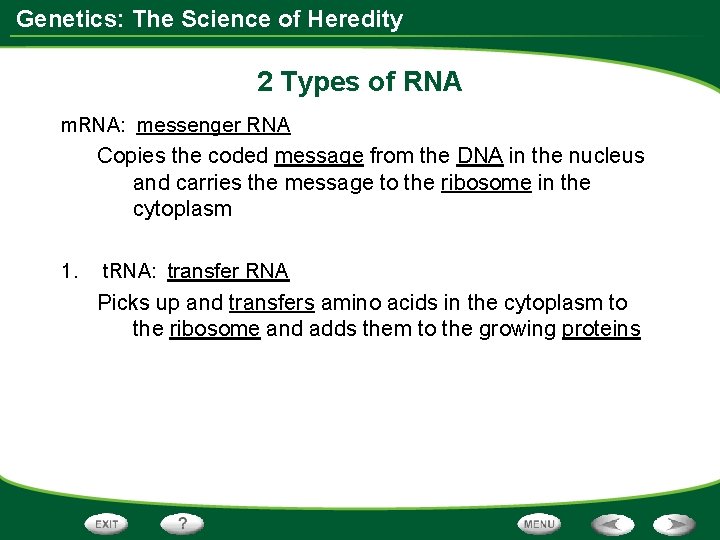 Genetics: The Science of Heredity 2 Types of RNA m. RNA: messenger RNA Copies