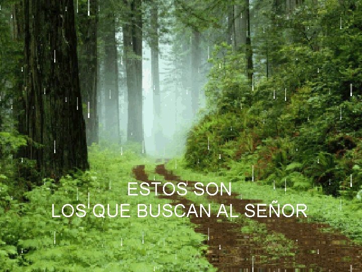 ESTOS SON LOS QUE BUSCAN AL SEÑOR 