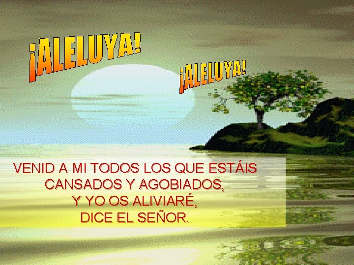 VENID A MI TODOS LOS QUE ESTÁIS CANSADOS Y AGOBIADOS, Y YO OS ALIVIARÉ,