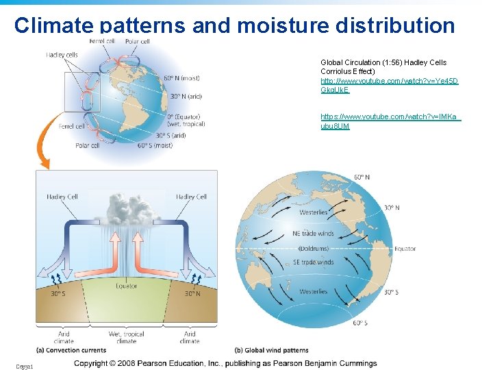 Climate patterns and moisture distribution Global Circulation (1: 56) Hadley Cells Corriolus Effect) http: