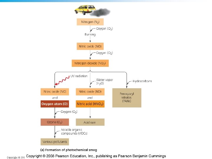 Copyright © 2008 Pearson Education, Inc. , publishing as Pearson Benjamin Cummings 