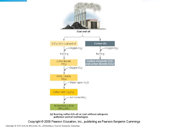 Copyright © 2008 Pearson Education, Inc. , publishing as Pearson Benjamin Cummings 