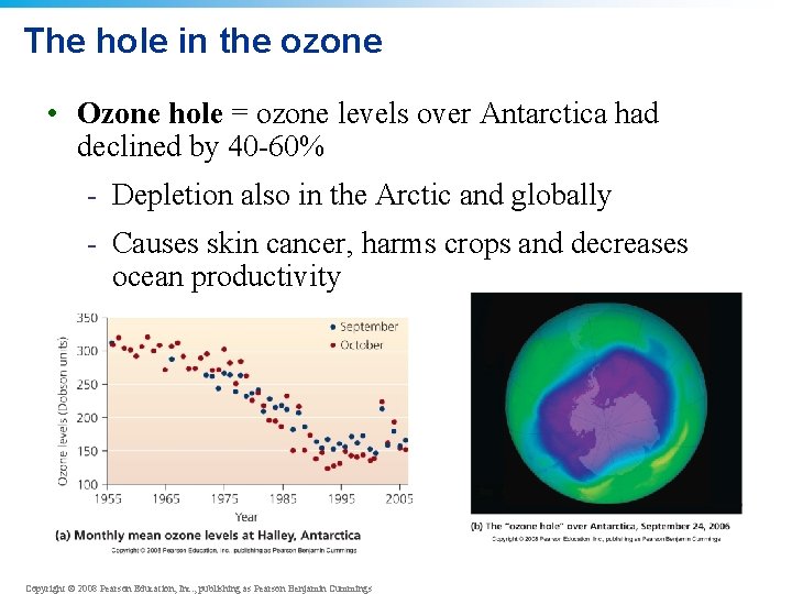 The hole in the ozone • Ozone hole = ozone levels over Antarctica had
